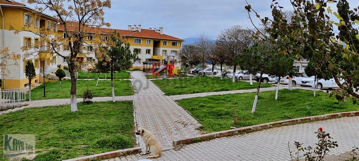 Sarıköy Toki Giriş Kat - 15