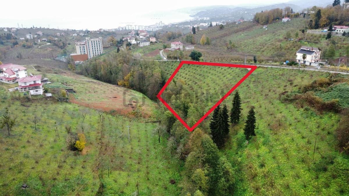 Trabzon Kavalada Satılık Arazi - 4