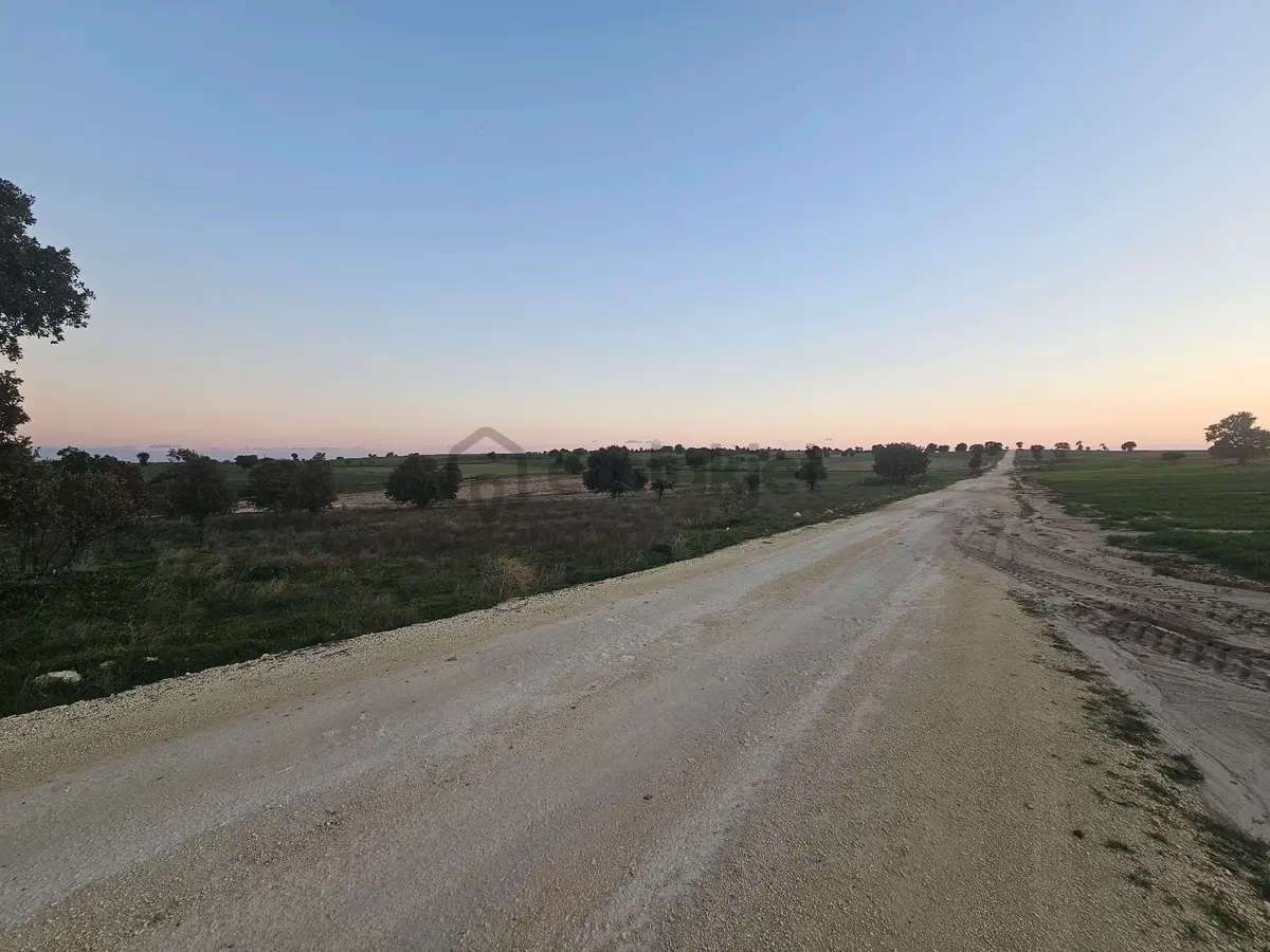 Enez Sultaniçede Satılık Tarla Yol Cepheli 1.463 M² - 9