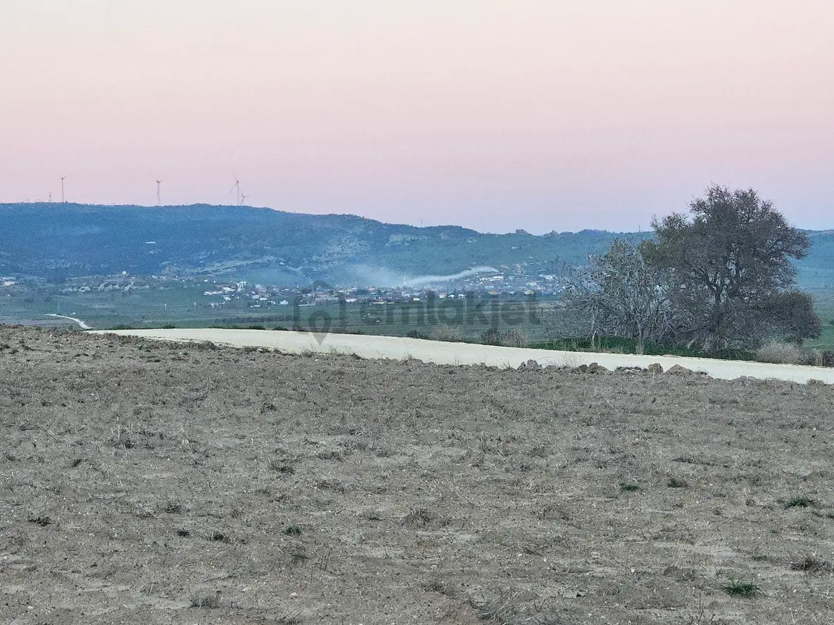 Enez Sultaniçede Satılık Tarla Yol Cepheli 1.463 M² - 11
