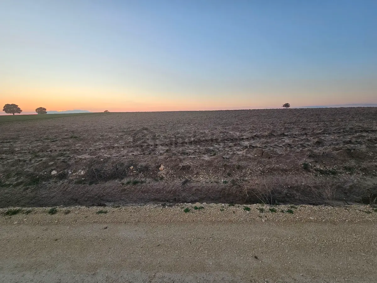 Enez Sultaniçede Satılık Tarla Yol Cepheli 1.463 M² - 3