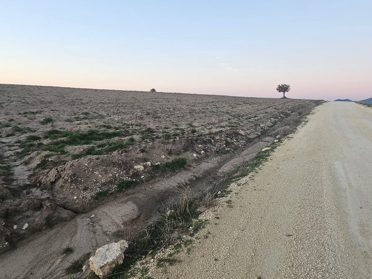 Enez Sultaniçede Satılık Tarla Yol Cepheli 1.463 M² - 15