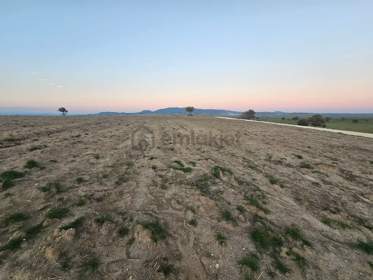 Enez Sultaniçede Satılık Tarla Yol Cepheli 1.463 M² - 10