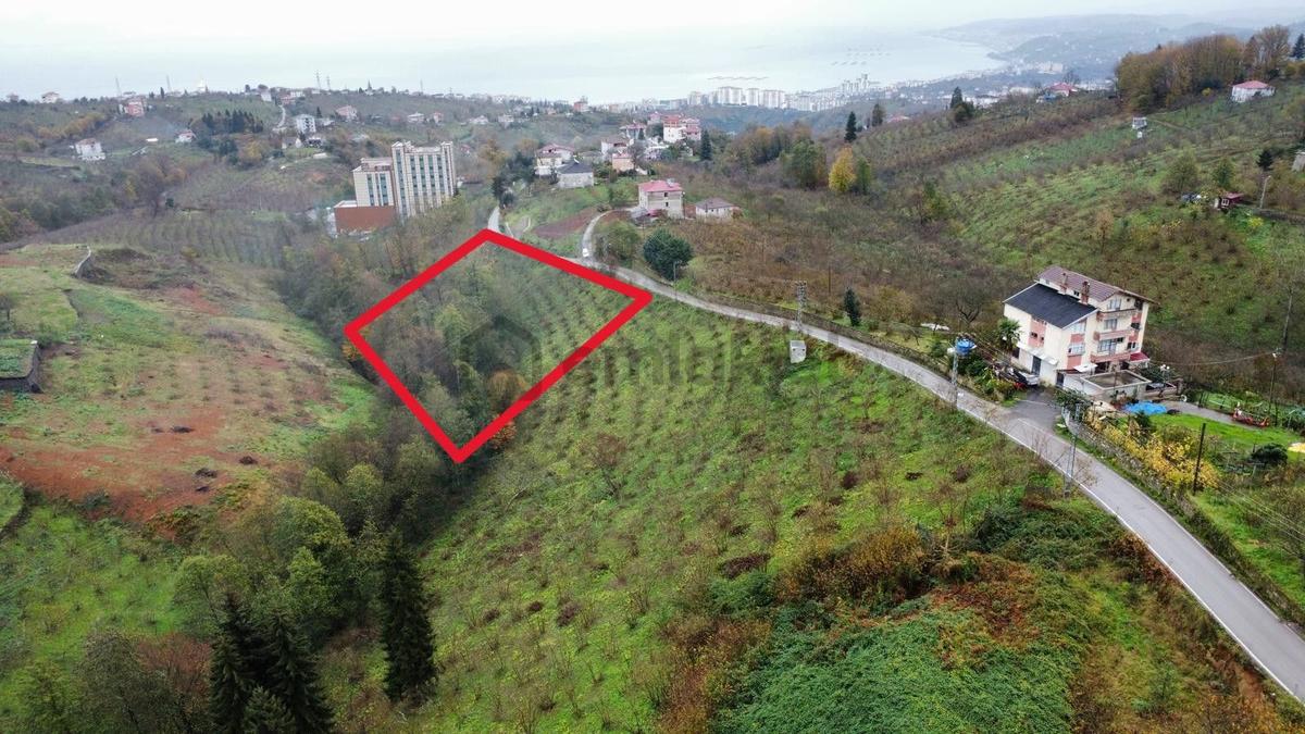Trabzon Kavalada Satılık Arazi - 4