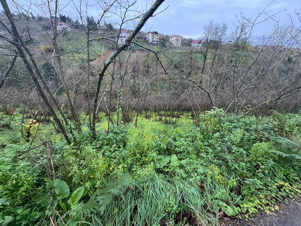 Trabzon Kavalada Satılık Arazi - 33