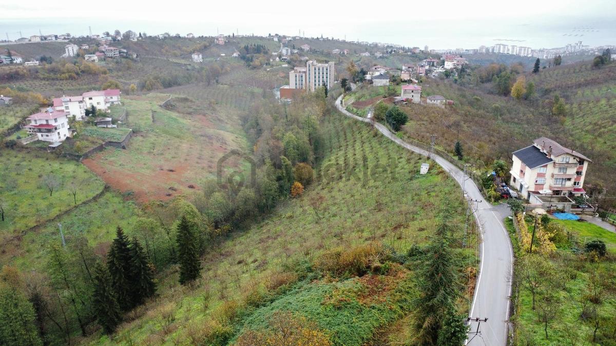 Trabzon Kavalada Satılık Arazi - 11