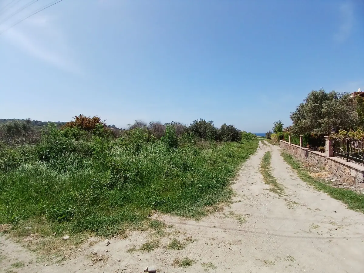 Eu Gayrimenkul'den Villaların Dibinde 6171 Metrekare Zeytinlik - 7