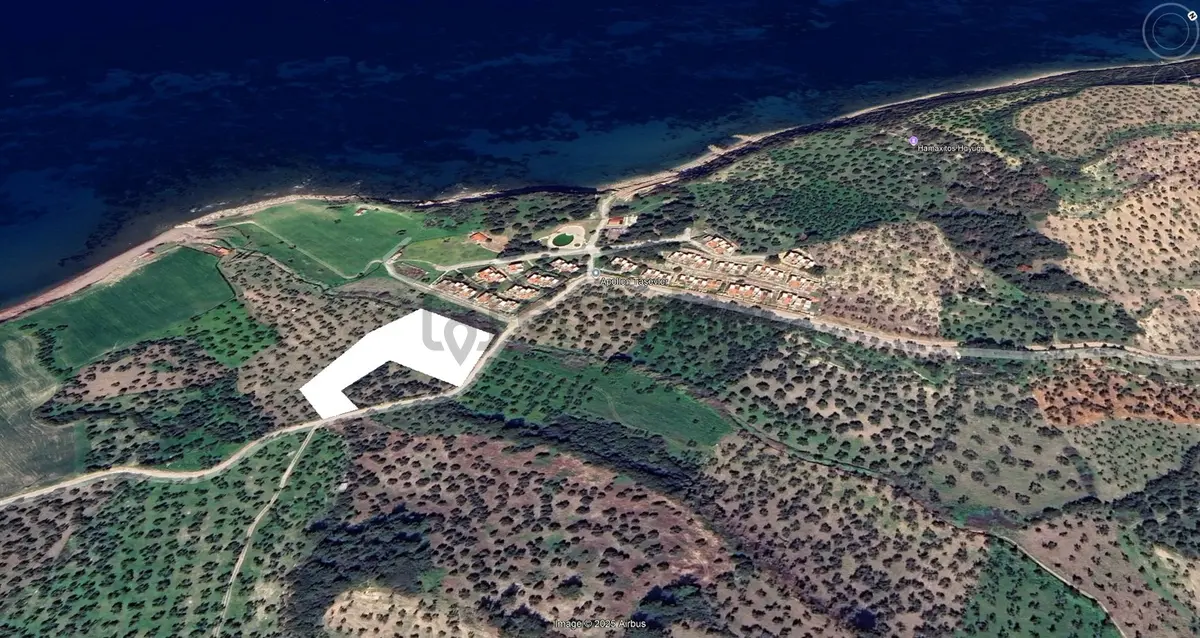 Eu Gayrimenkul'den Villaların Dibinde 6171 Metrekare Zeytinlik - 6