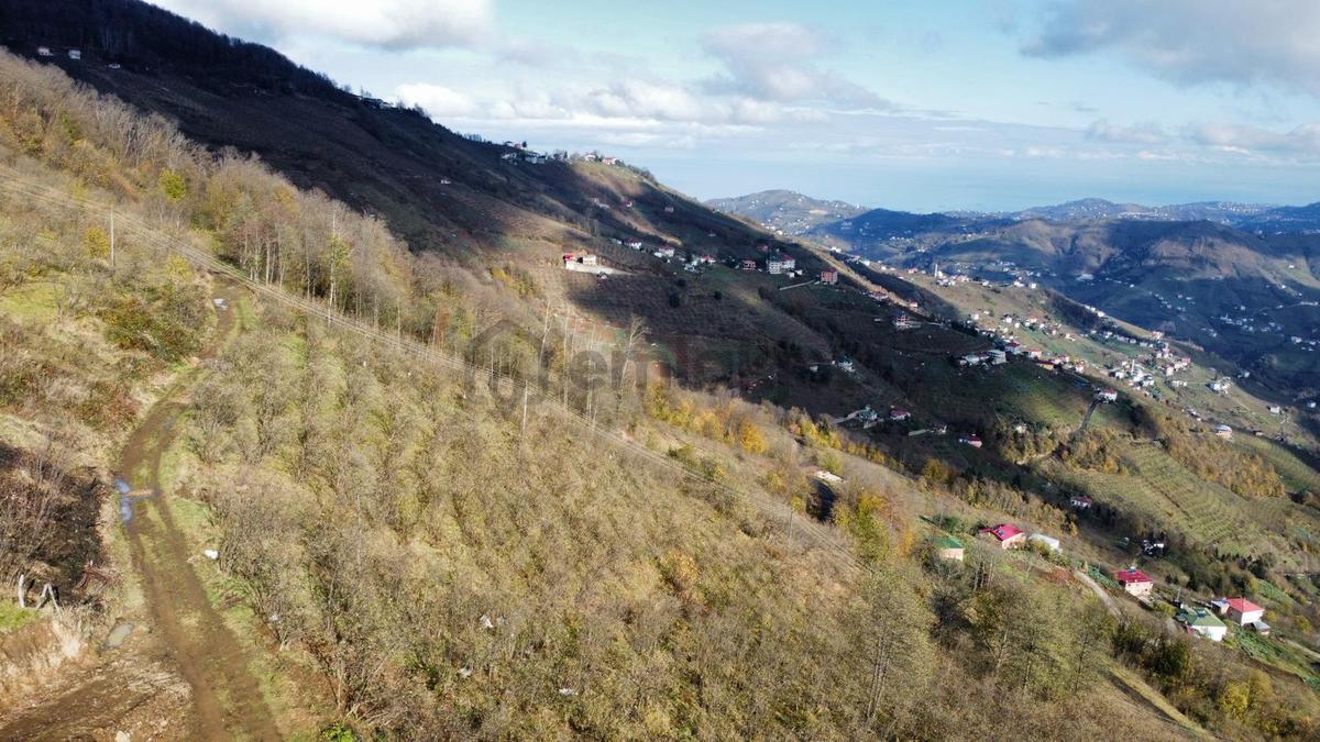 Trabzon Akçaabat'ta Satılık Arazi - 25