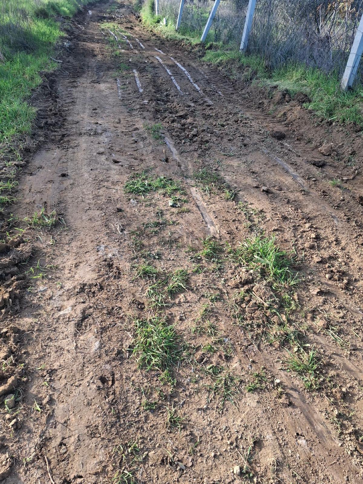Mirya'dan - 7