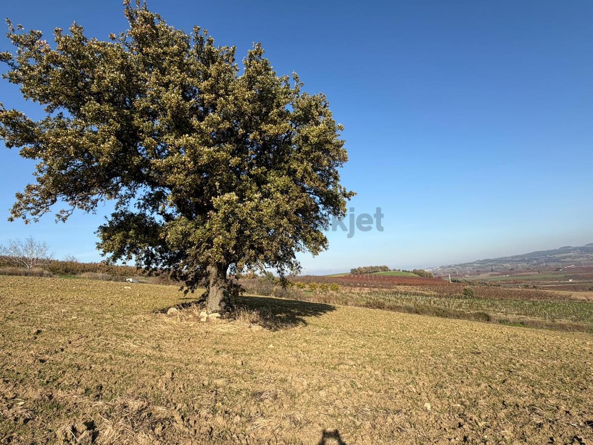 Çanakkale Kangırlı’da 6975 M2 Satılık Tarla - 8
