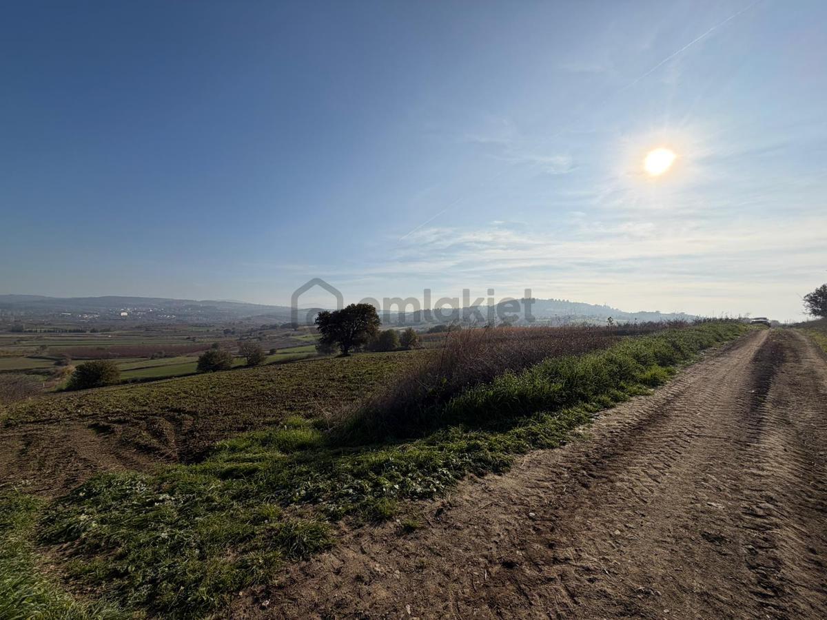 Çanakkale Kangırlı’da 6975 M2 Satılık Tarla - 13