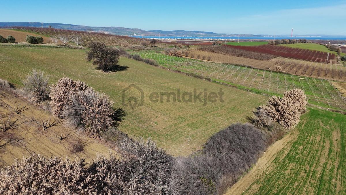 Çanakkale Kangırlı’da 6975 M2 Satılık Tarla - 5