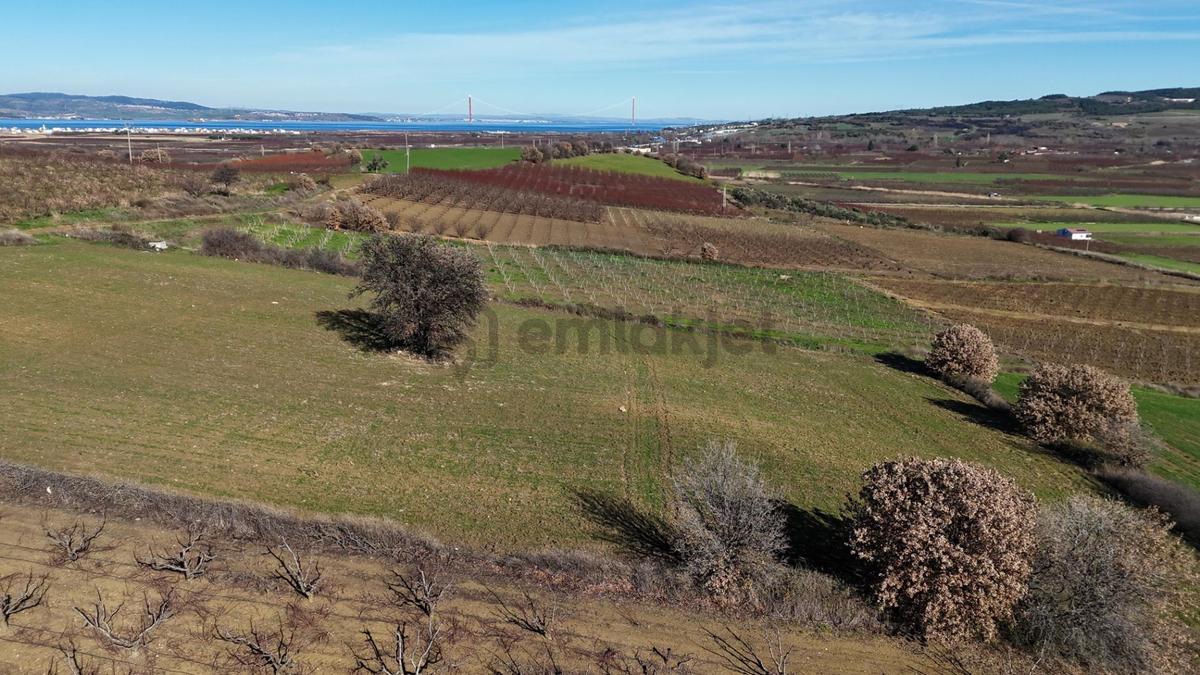Çanakkale Kangırlı’da 6975 M2 Satılık Tarla - 4