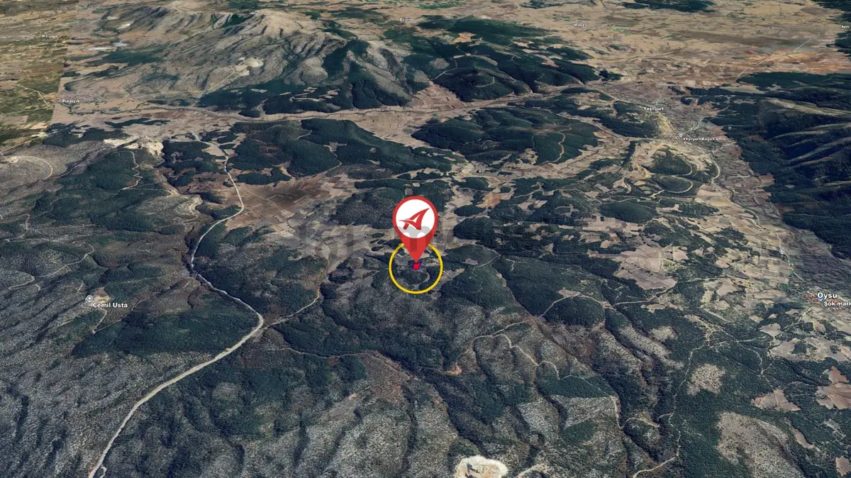 Kütahya Altıntaş Oysu 5116m2 Satılık Tarla - 6