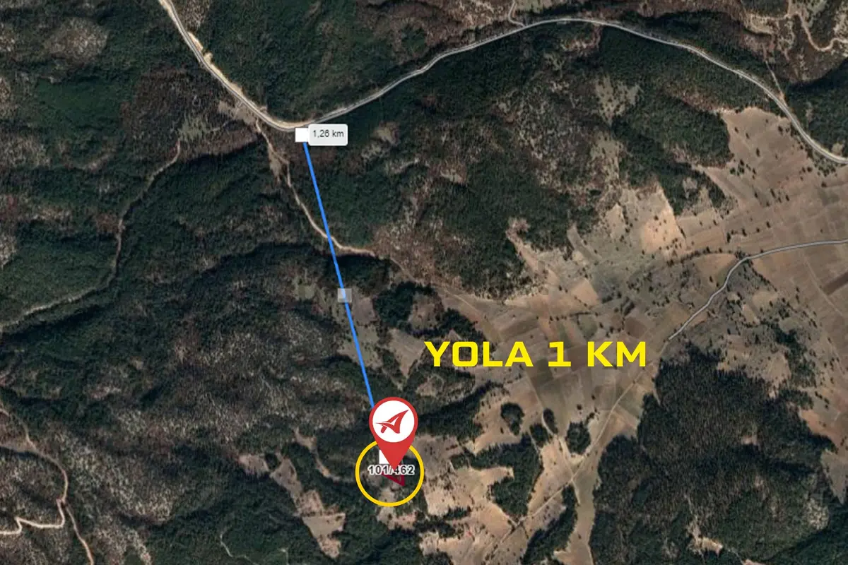 Kütahya Altıntaş Oysu 5116m2 Satılık Tarla - 11