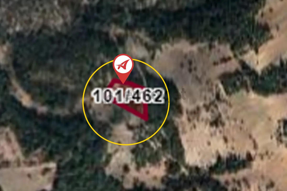 Kütahya Altıntaş Oysu 5116m2 Satılık Tarla - 9