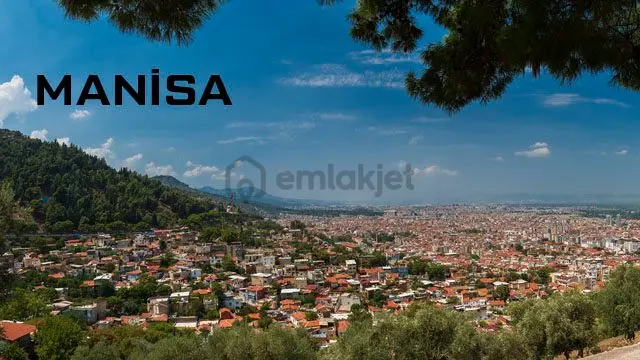 Manisa Demirci Çanakçı Satılık Bağ 1200m2 - 9