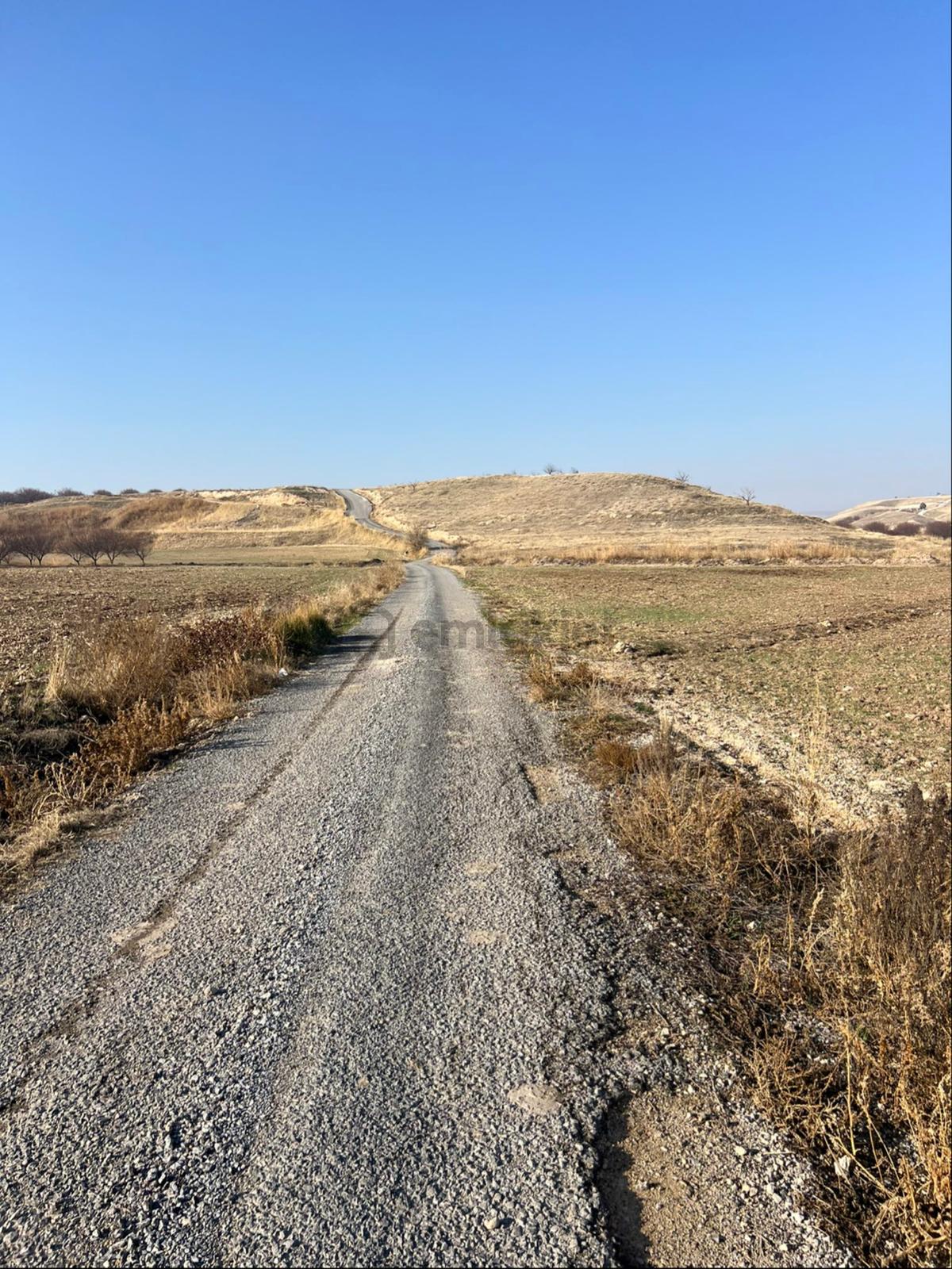 Yeşilyurt Kırkpınar Satılık Tarla - 6