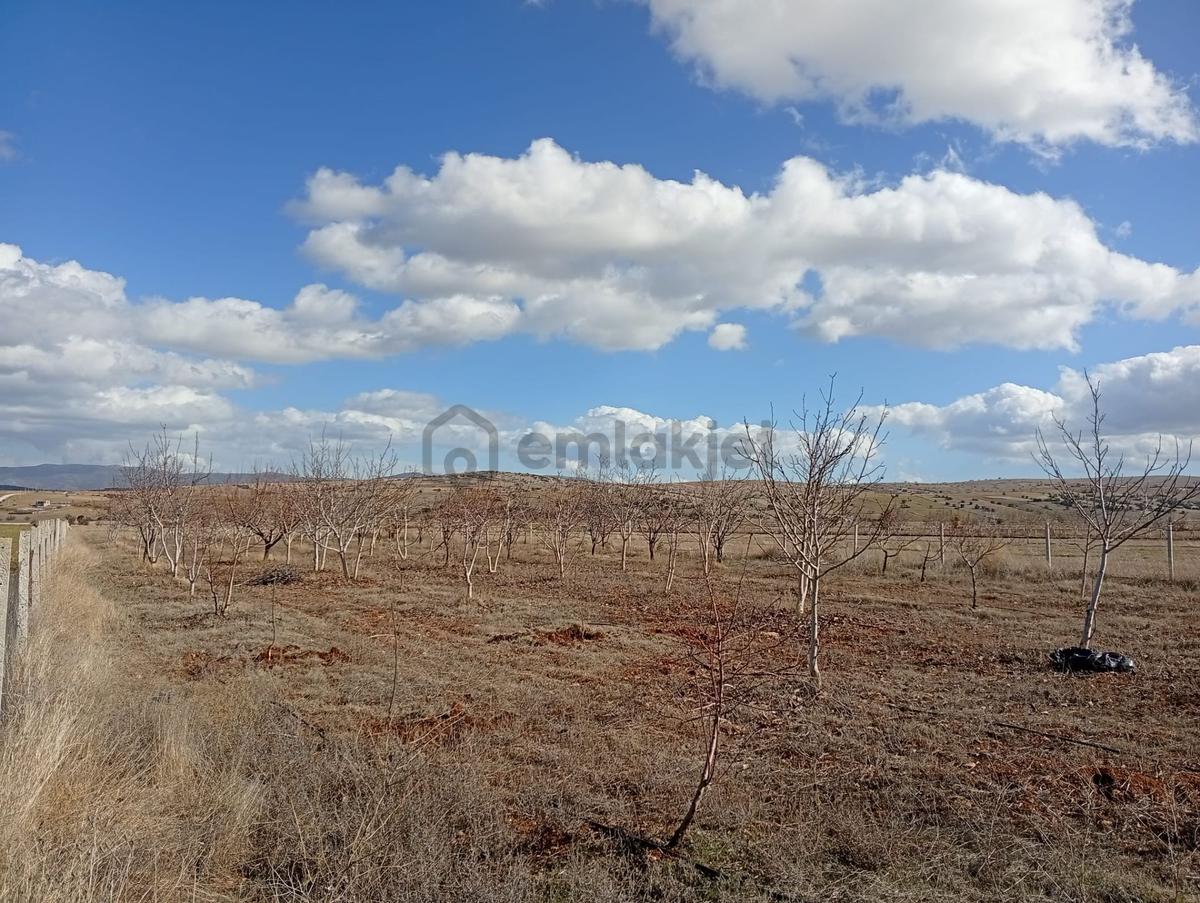 Antalya Korkuteli Kevzer Mahallesinde Satılık Tarla No.20573 - 18