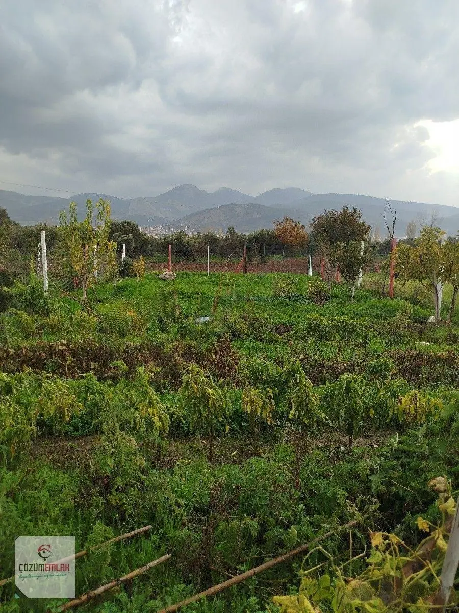 Hobi Bahçeli Arsa - 5