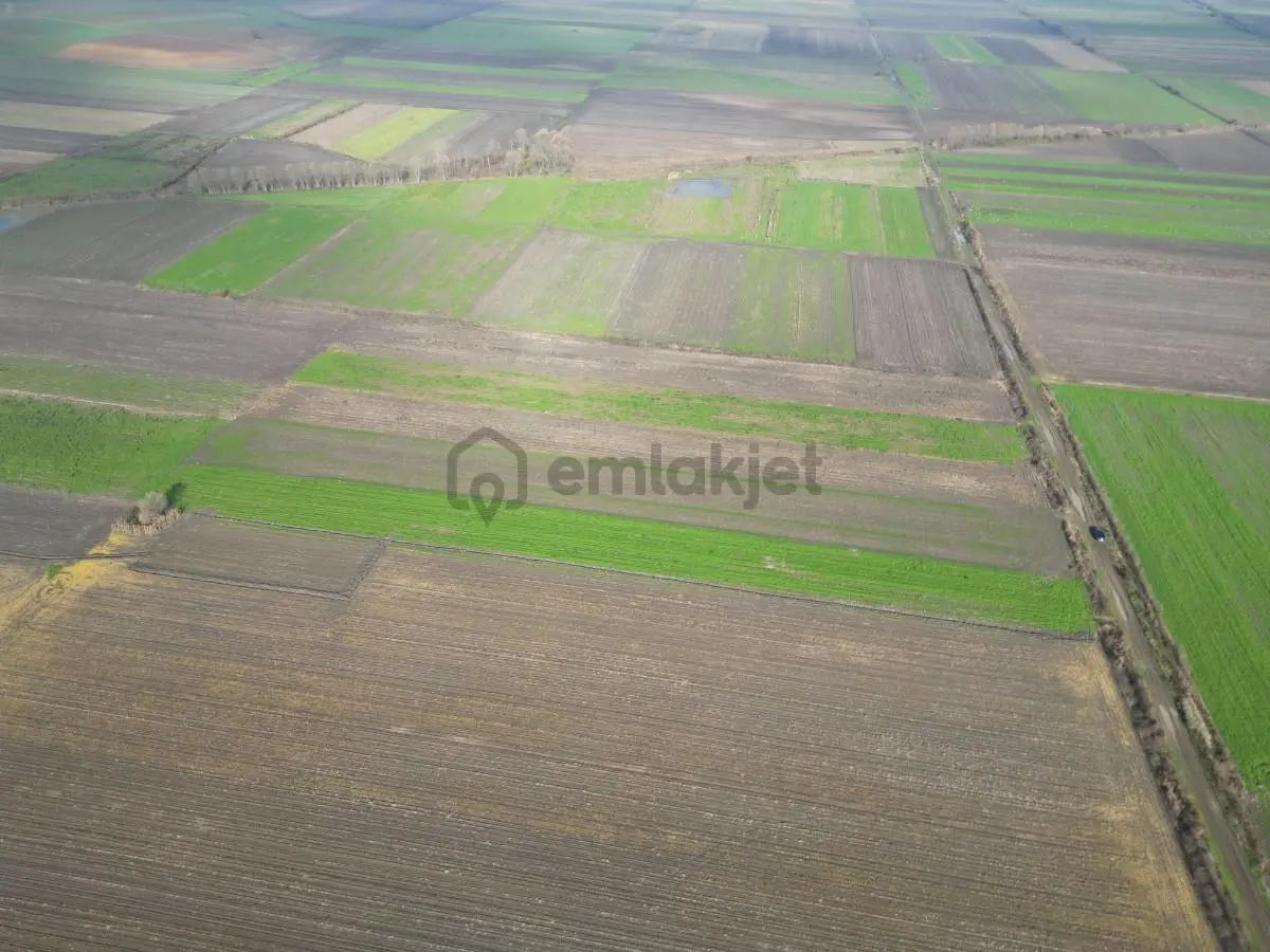Serdivan Aralıkta Resmi Yola Cephei 4.000 M² Satılık Tarla - 20