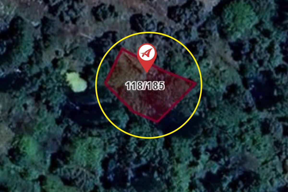 Muğla-milas-kayabaşı-satılık 332m2bahçe - 7