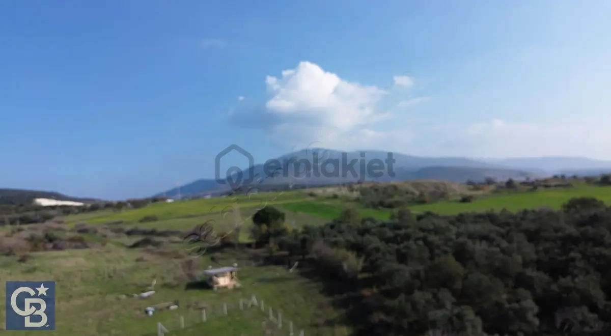 Şehitkemalde 375m2 Satılık Yolu Olan Tiny House Vb Konulabilen - 30