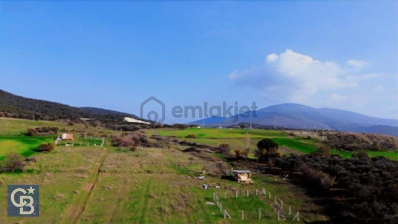 Şehitkemalde 375m2 Satılık Yolu Olan Tarla - 20