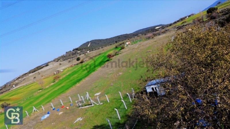 Şehitkemalde 273m2 Yolu Olan Tarla - 4