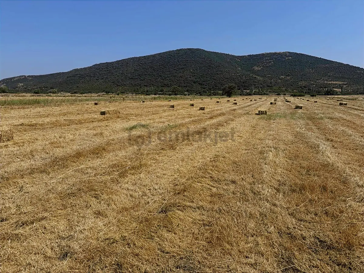 Balıkkesir Sındırgı Çakıllı 5.050 M2 Tek Tapu - 17