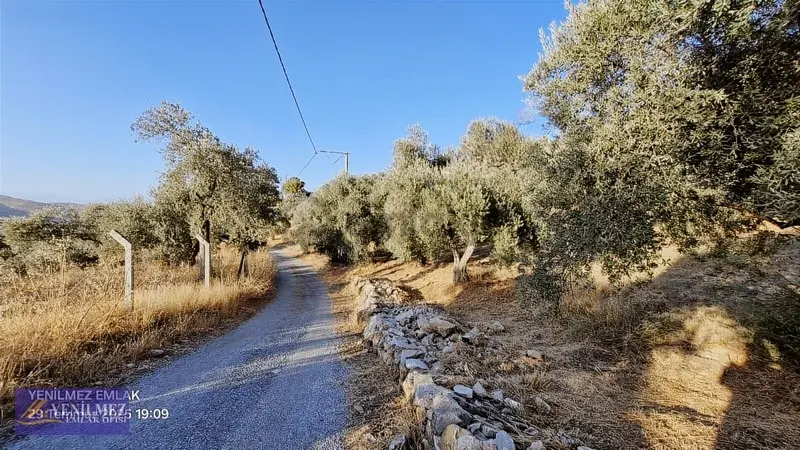 Tire Çayırlı Mahallesi Satılık Bahçe - 17