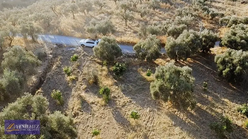 Tire Çayırlı Mahallesi Satılık Bahçe - 33