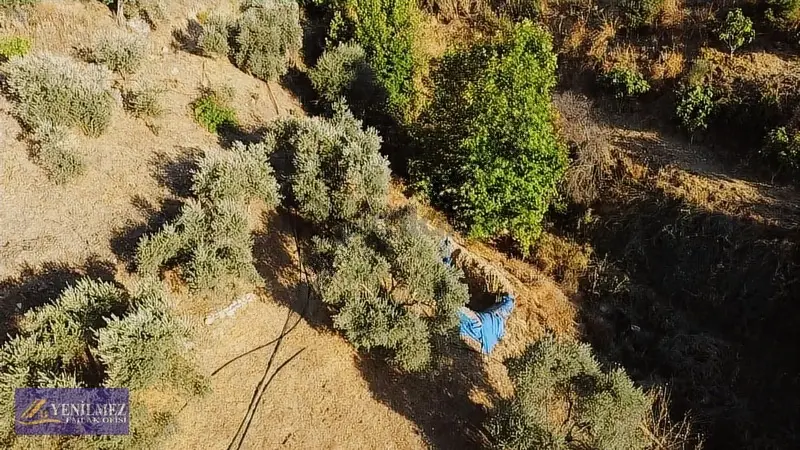 Tire Çayırlı Mahallesi Satılık Bahçe - 7