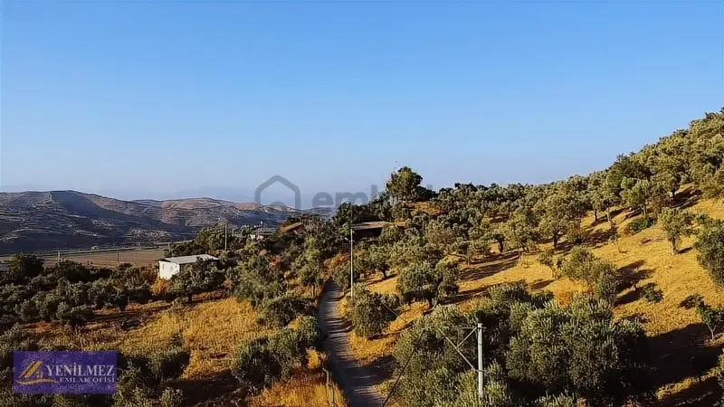 Tire Çayırlı Mahallesi Satılık Bahçe - 25