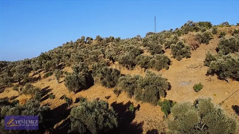Tire Çayırlı Mahallesi Satılık Bahçe - 23