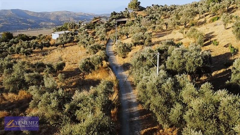 Tire Çayırlı Mahallesi Satılık Bahçe - 11