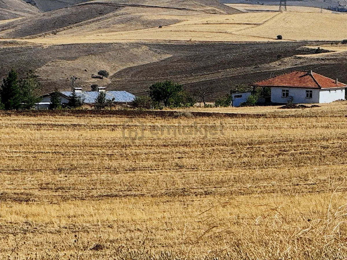 Ankara Kalecik Akkaynak 9.610 M2 Tek Tapu Mülk - 4