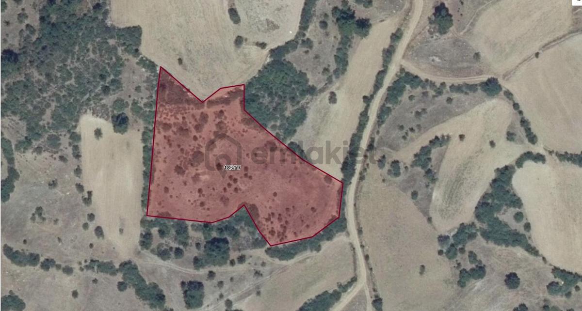 Balıkesir Sındırgı'da Satılık Tarla - 5