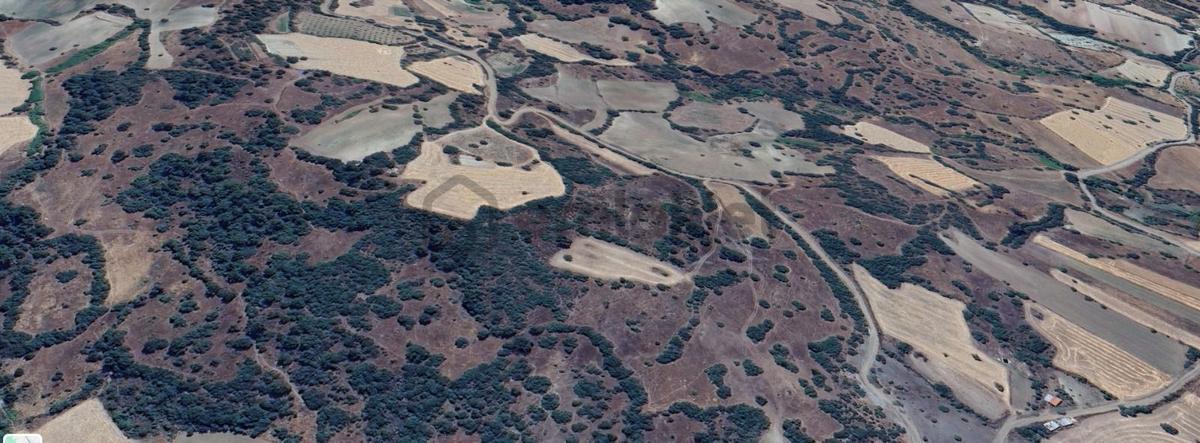 Balıkesir Sındırgı'da Satılık Tarla - 12