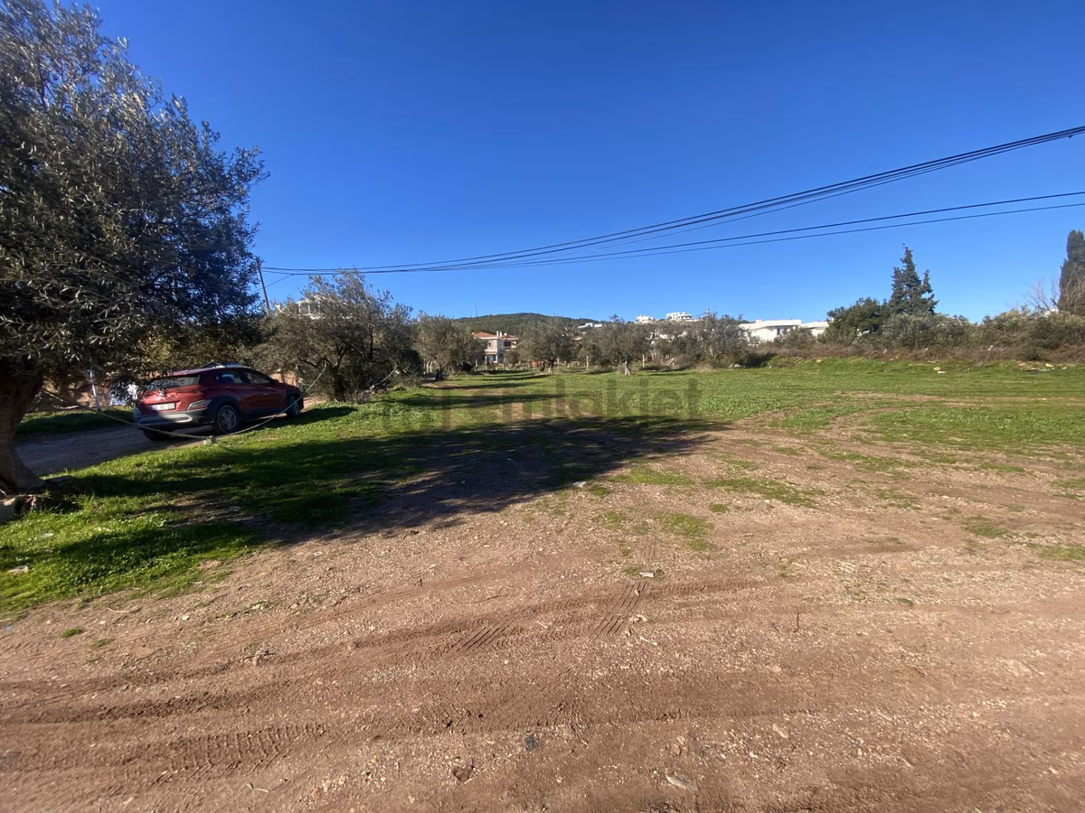 Ayvalık Cunda Da Satılık 3479 Metre Kare İmarlı Arsa - 10