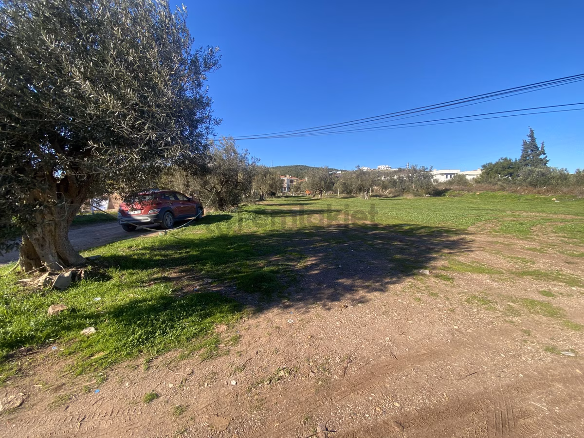 Ayvalık Cunda Da Satılık 3479 Metre Kare İmarlı Arsa - 8