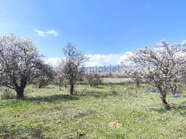 Sahibinden Isparta Senirkent 1800 M2 - 4