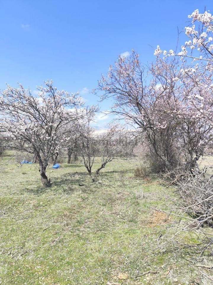 Sahibinden Isparta Senirkent 1800 M2 - 3