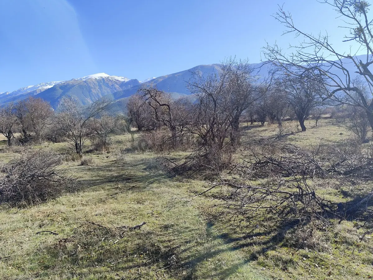 Sahibinden Isparta Senirkent 1800 M2 - 9