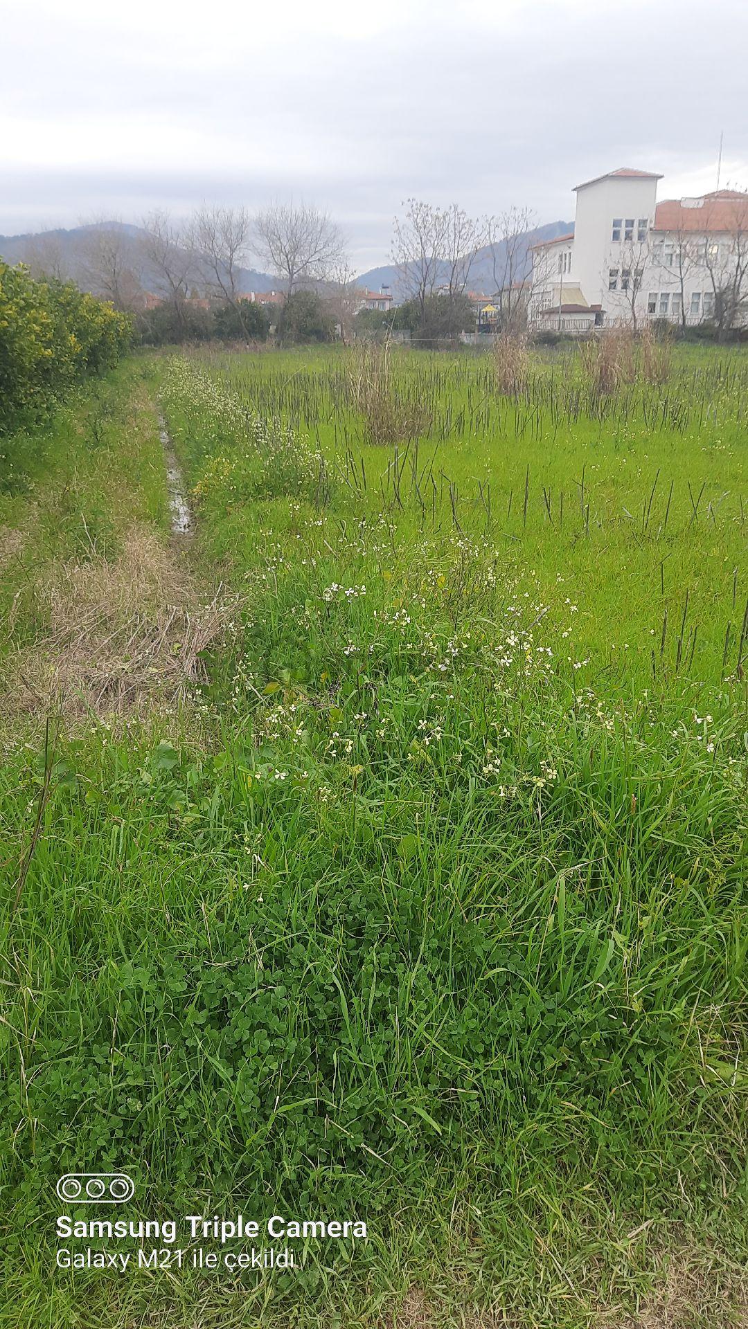 Dikmekavakta 3490 M2 %10 İmarlı Arsa - 6