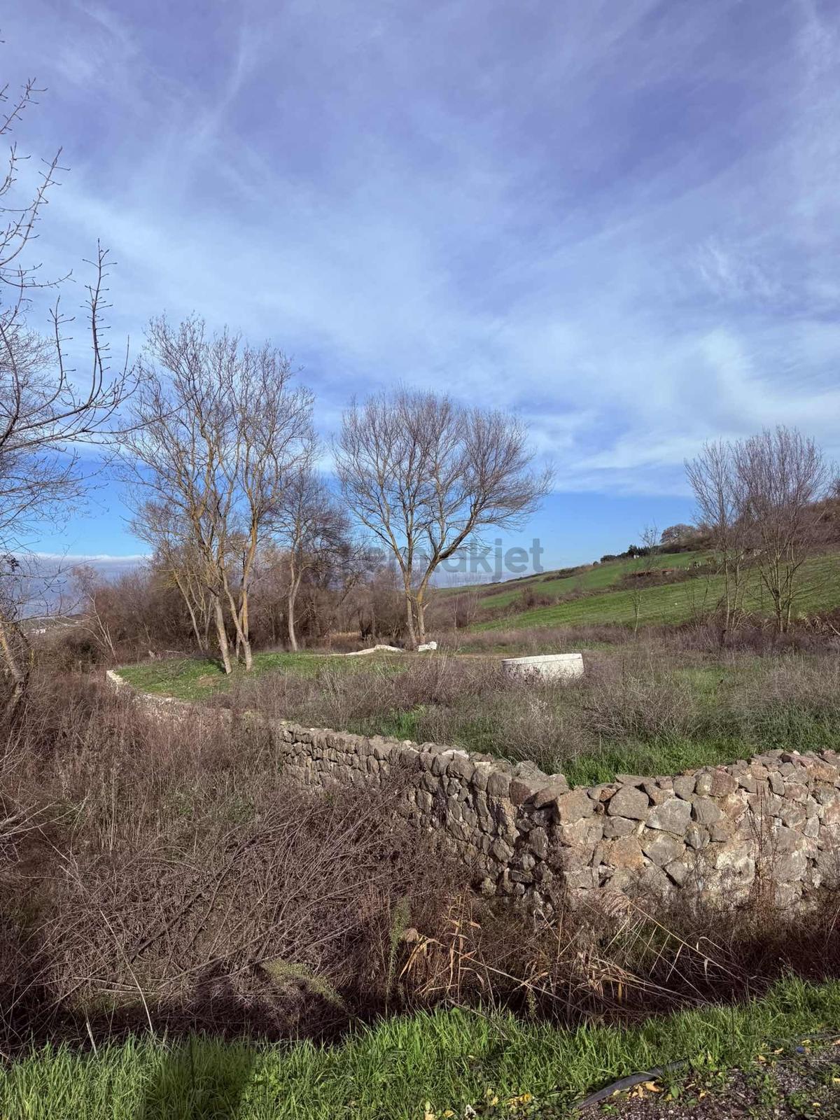 Gacık'ta Asfalta Sıfır Tarla - 4