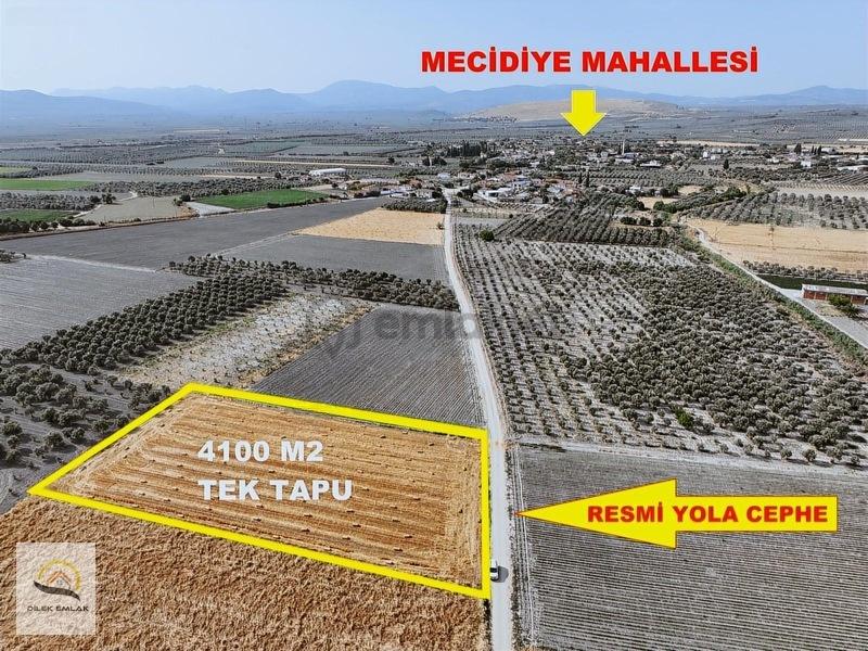 Akhisar Mecidiye'de İmara Yakın 4100m2 Yola Cephe Tek Tapu Acil - 24