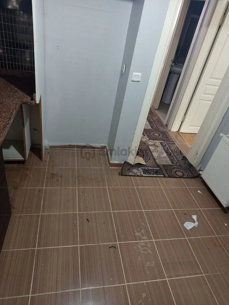 Eyüp Akşemsettin De 2+1 Satılık Daire Bahçe Katı - 15