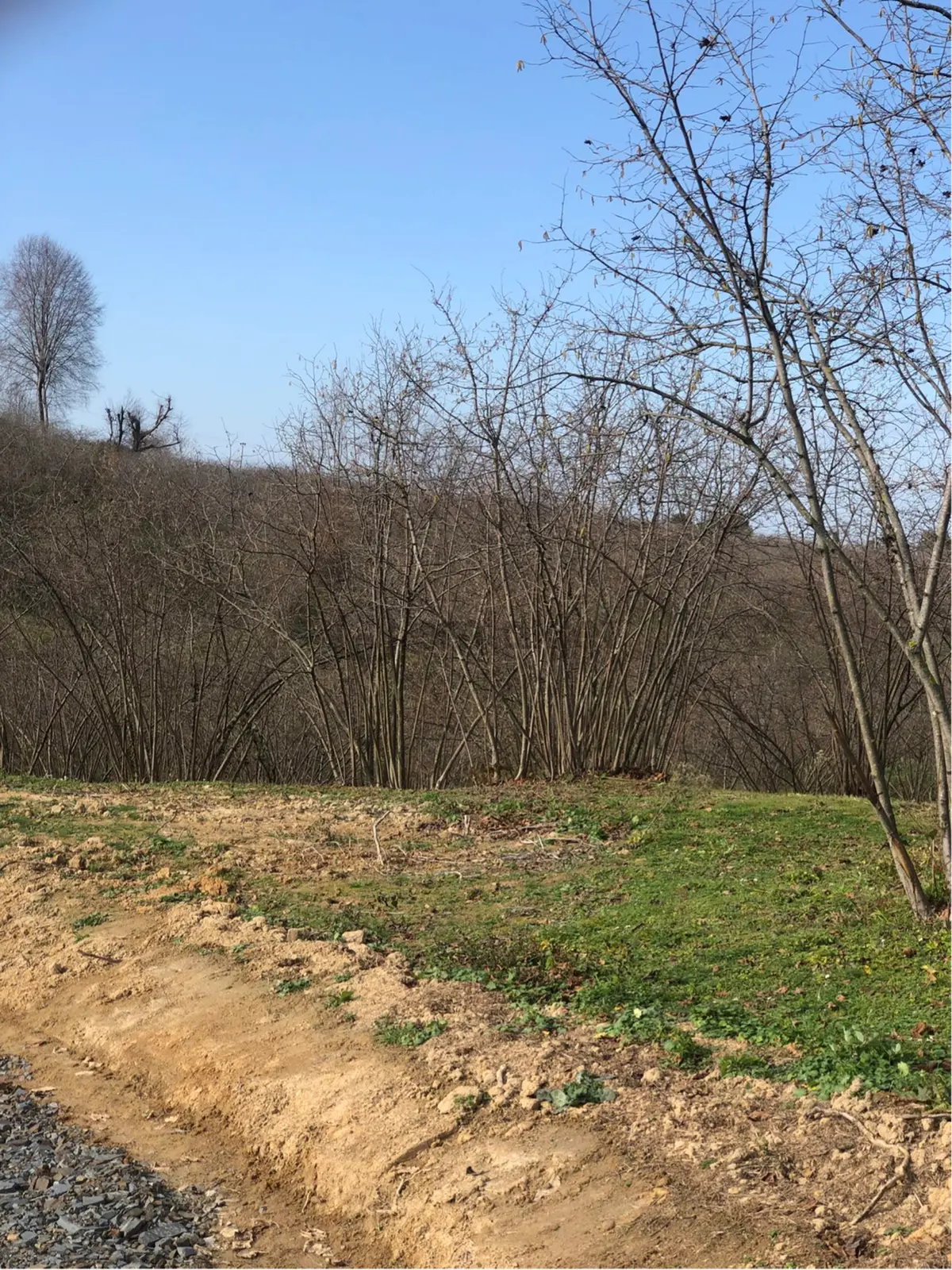 Sakarya Kocaali Kadıköyde Satılık Arsalarımız - 18